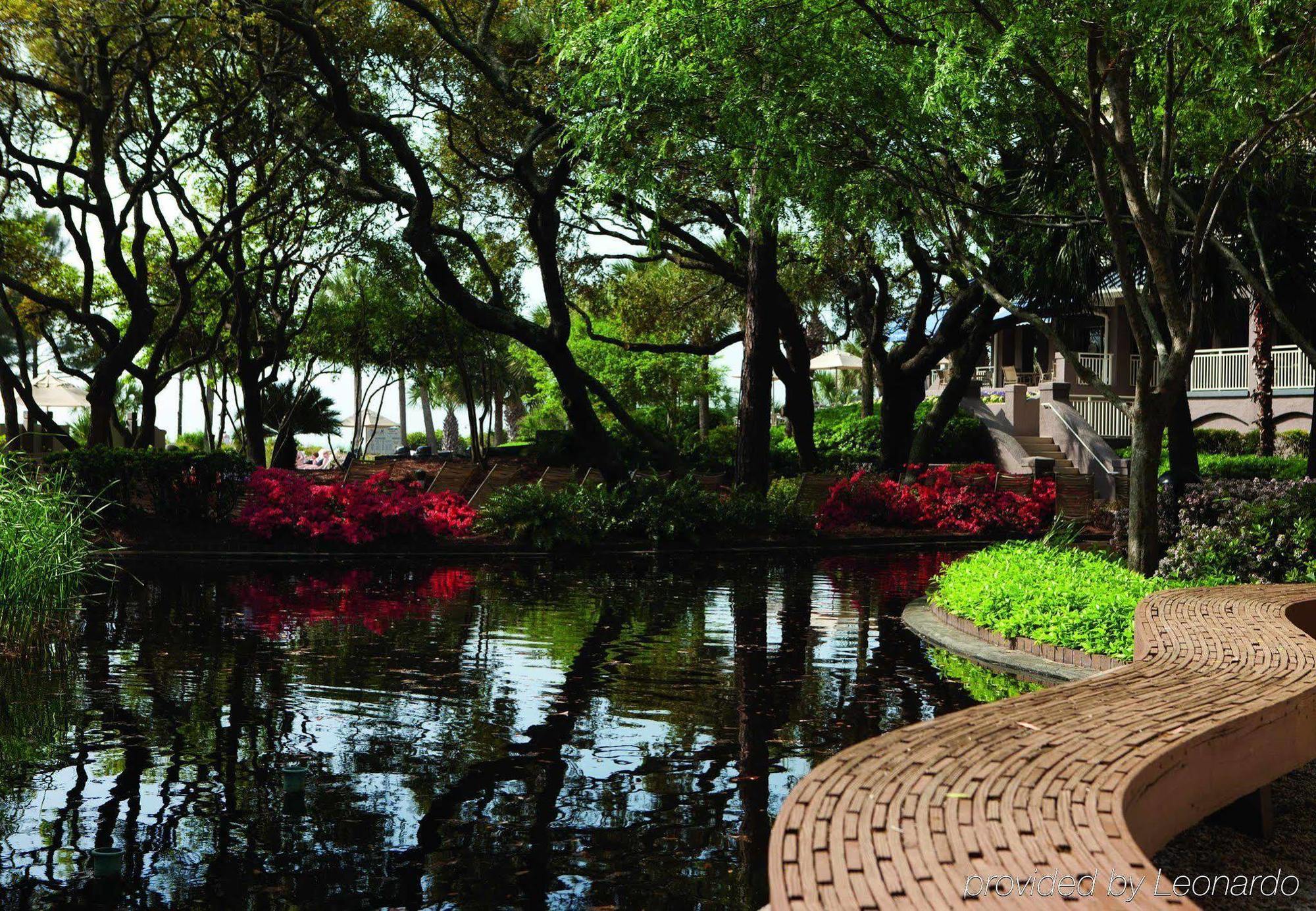 Marriott'S Grande Ocean Hotel Hilton Head Island Eksteriør billede